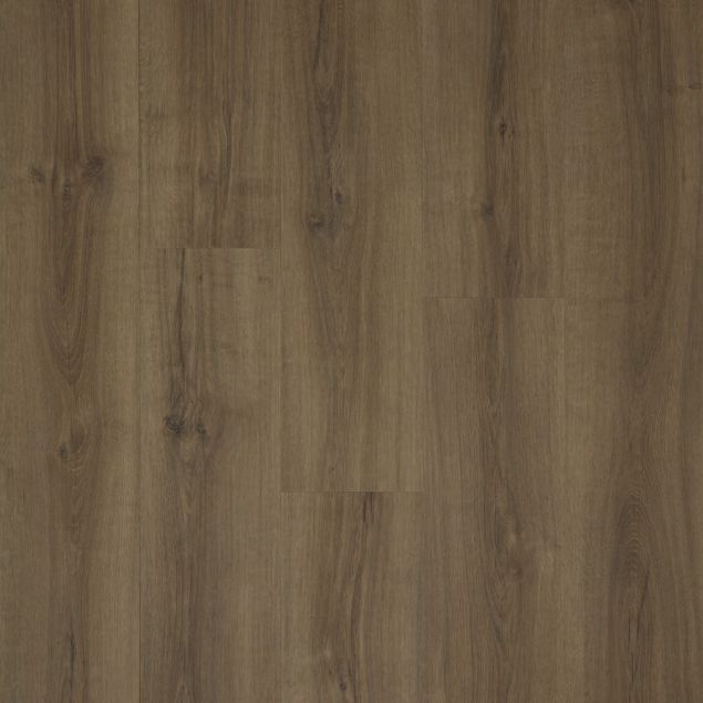 Tapi Kiri Rigel Dryback